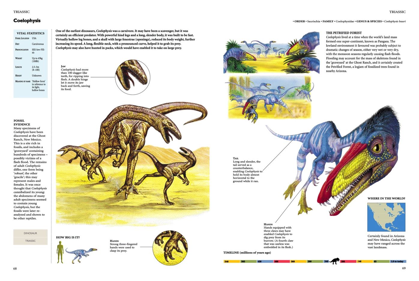 Encyclopedia of Dinosaurs