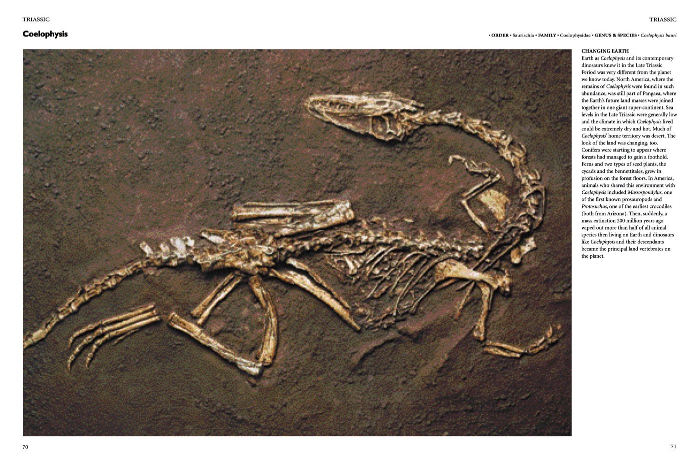 Encyclopedia of Dinosaurs