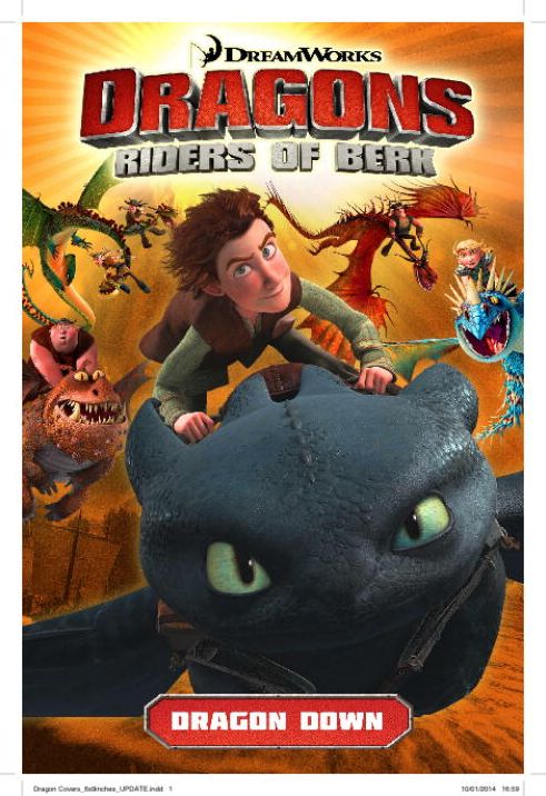 DreamWorks' Dragons: Riders of Berk - Volume 1: Dragon Down