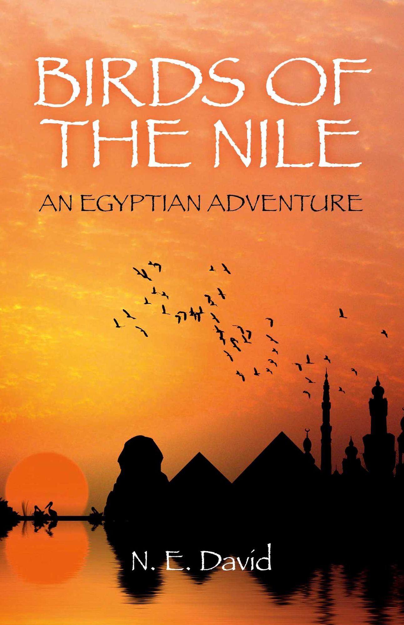 Birds of the Nile: An Egyptian Adventure
