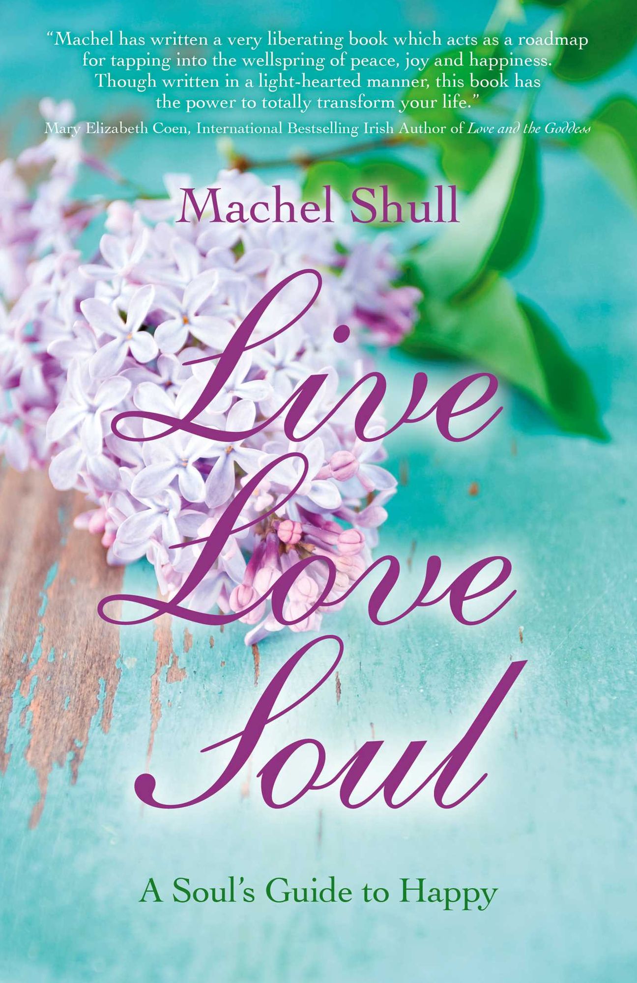 Live Love Soul: A Soul's Guide to Happy