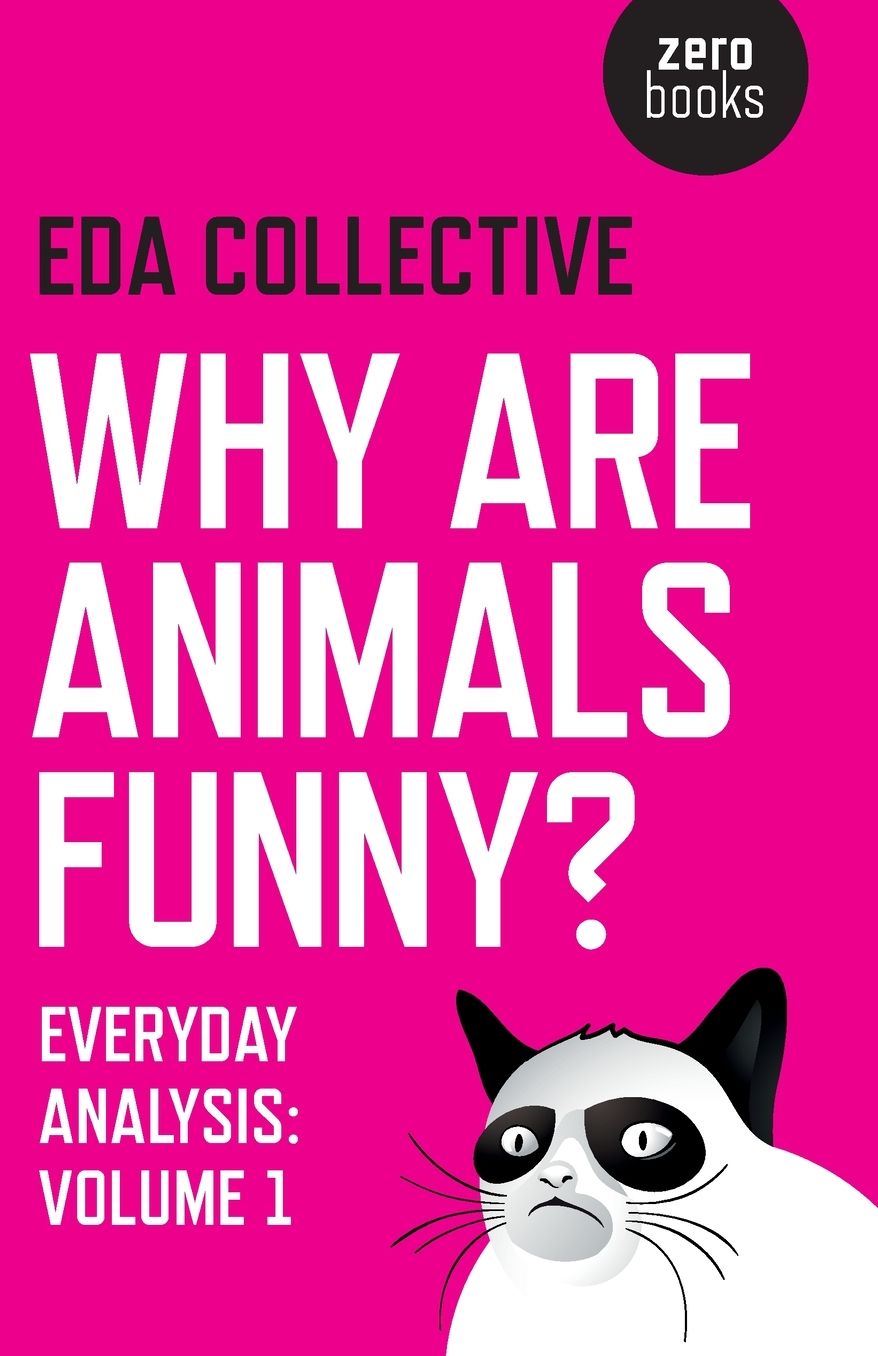 Why are Animals Funny?: Everyday Analysis