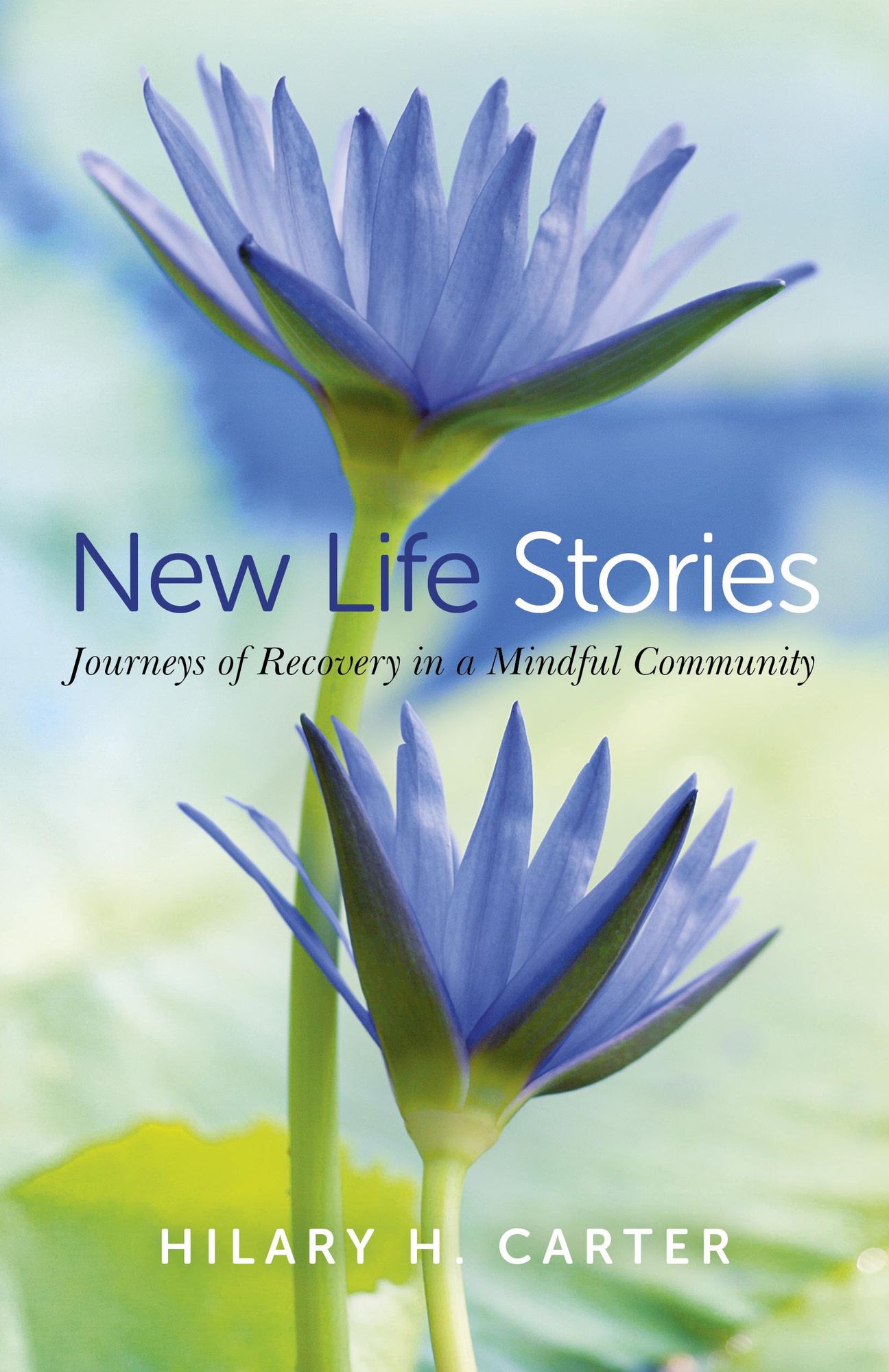 New Life Stories: Journeys of Recovery in a Mindful Community