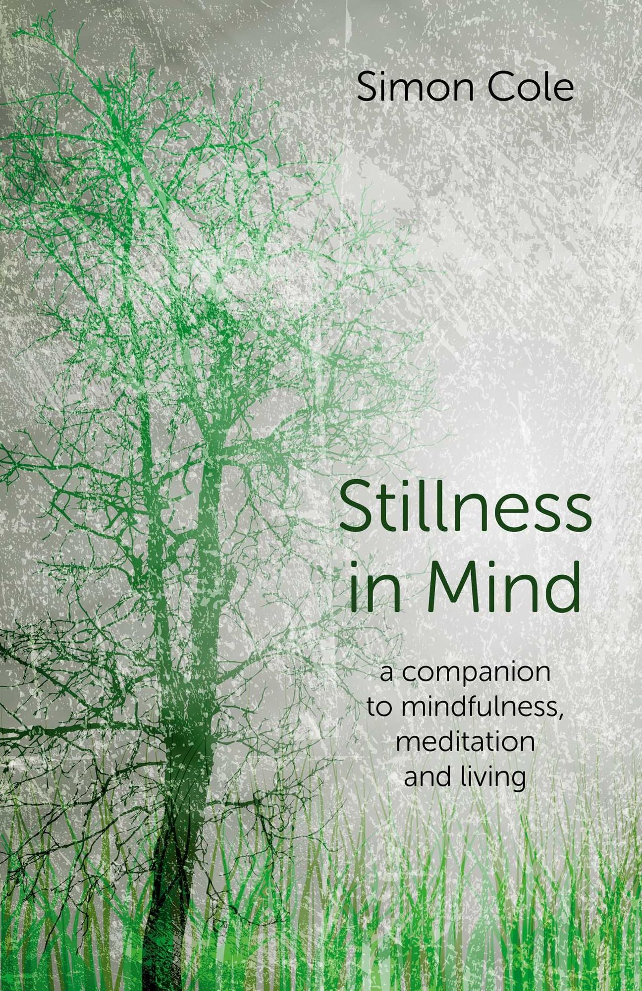Stillness in Mind: A Companion to Mindfulness, Meditation and Living