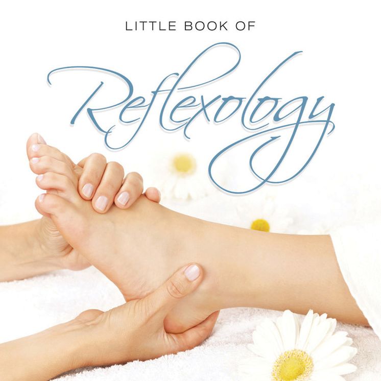 Little Book of Reflexology