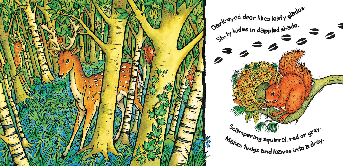 Home for a Tiger, Home for a Bear