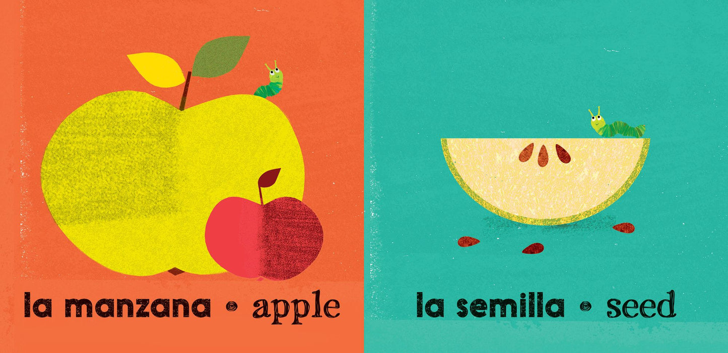 Big and Small / Grande y pequeÃ±o