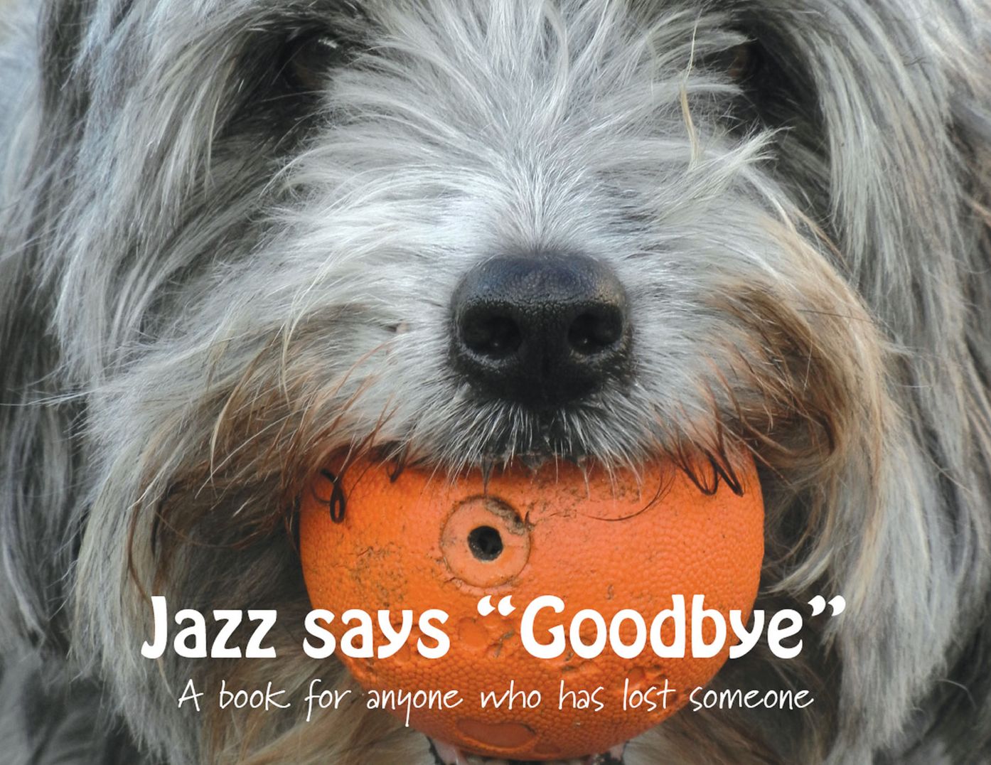 Jazz says Goodbye: A book for anyone who has lost someone (PagePerfect NOOK Book)