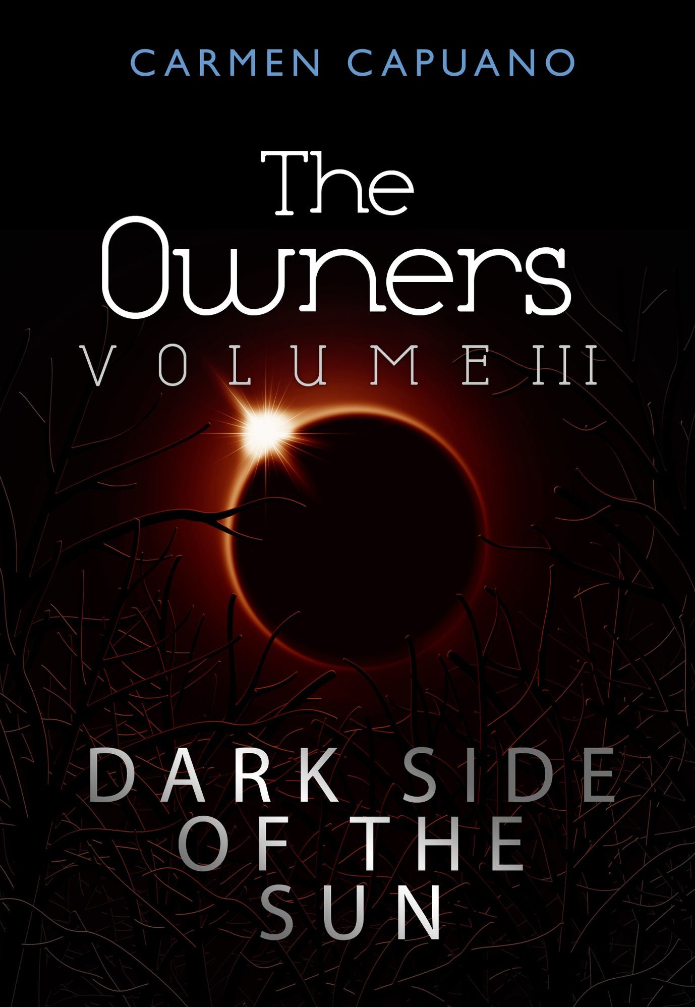 The Owners, Volume III: Dark Side Of The Sun