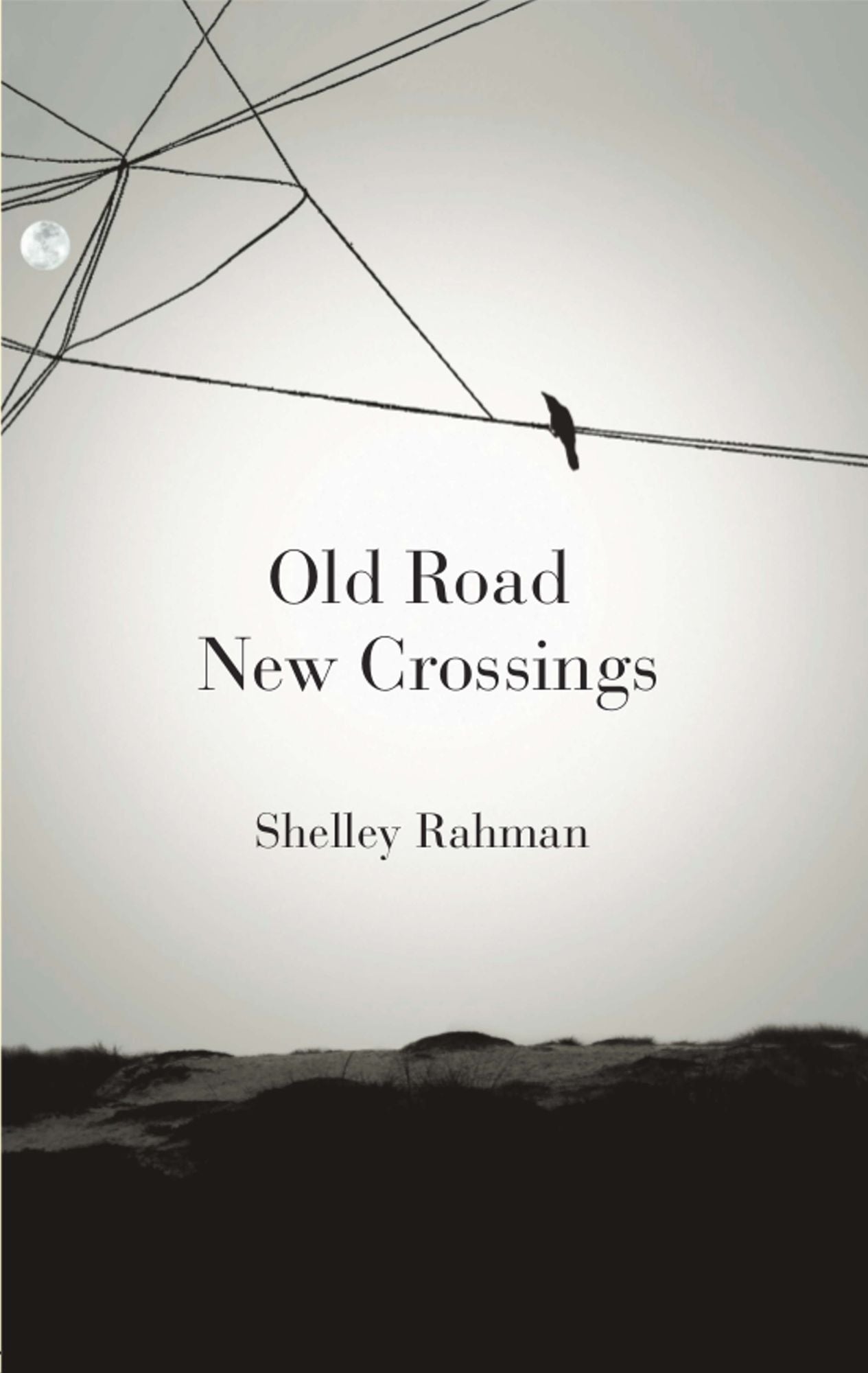 Old Road New Crossings: a novel