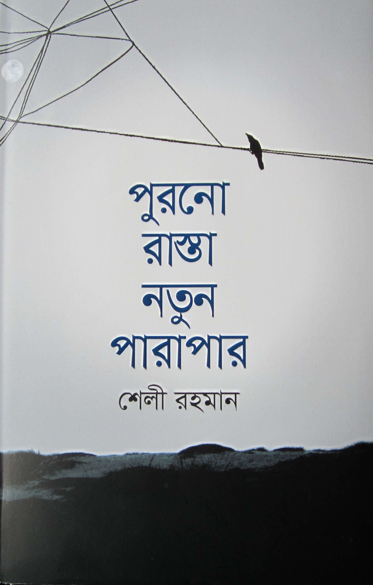Purano Rasta Notun Parapar: a novel