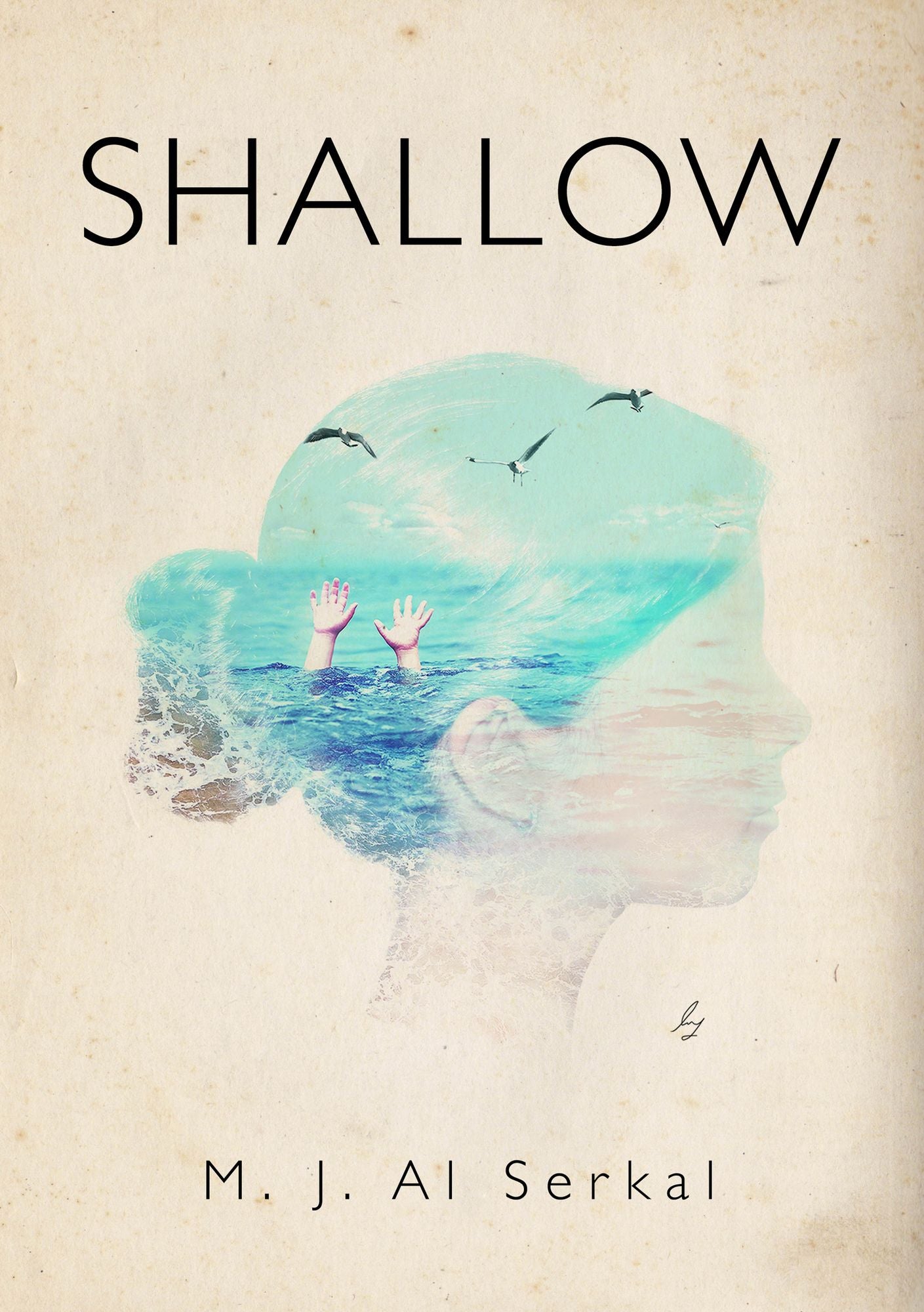 Shallow (PagePerfect NOOK Book)