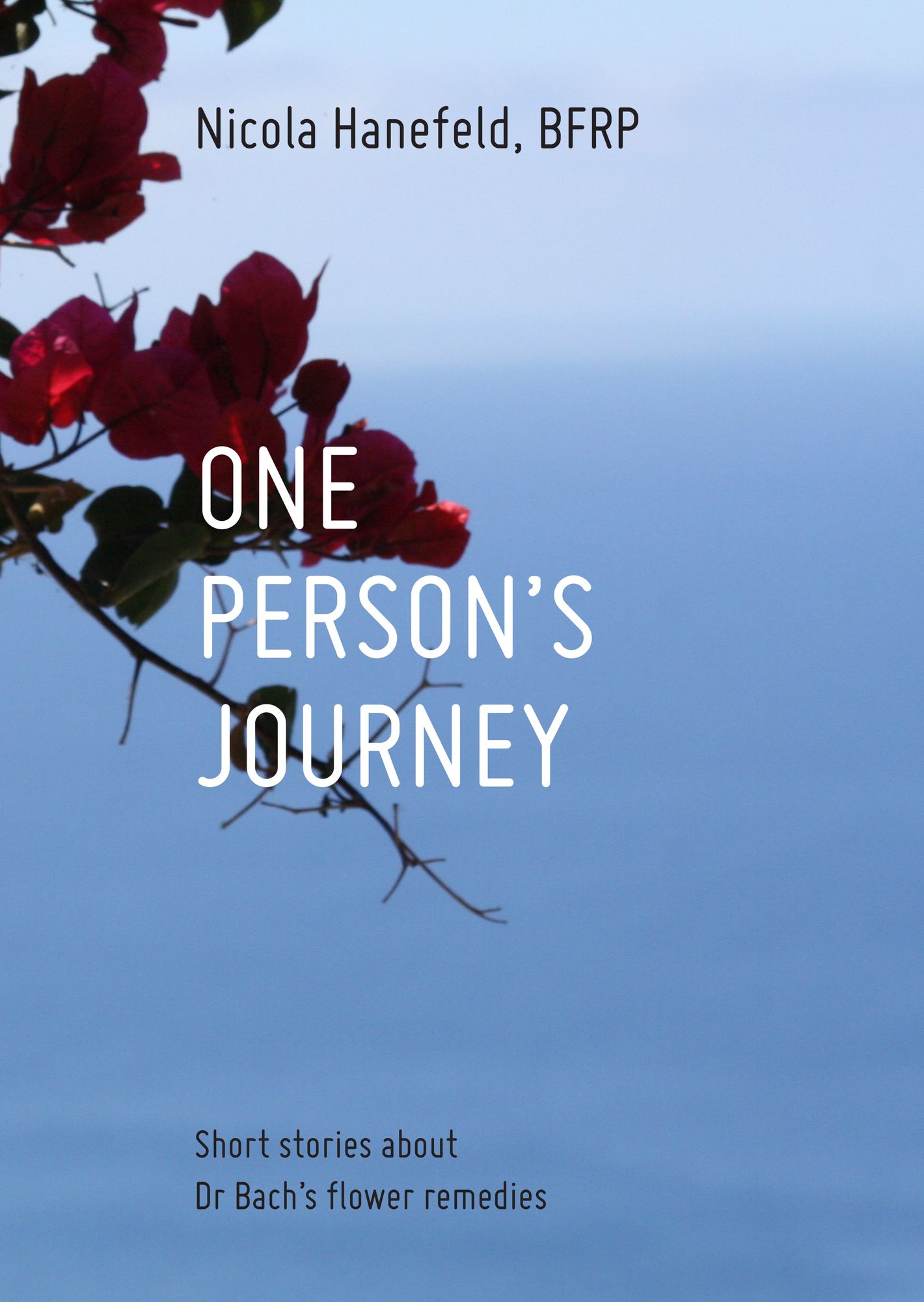 One Person's Journey: Short stories about Dr Bach's flower remedies