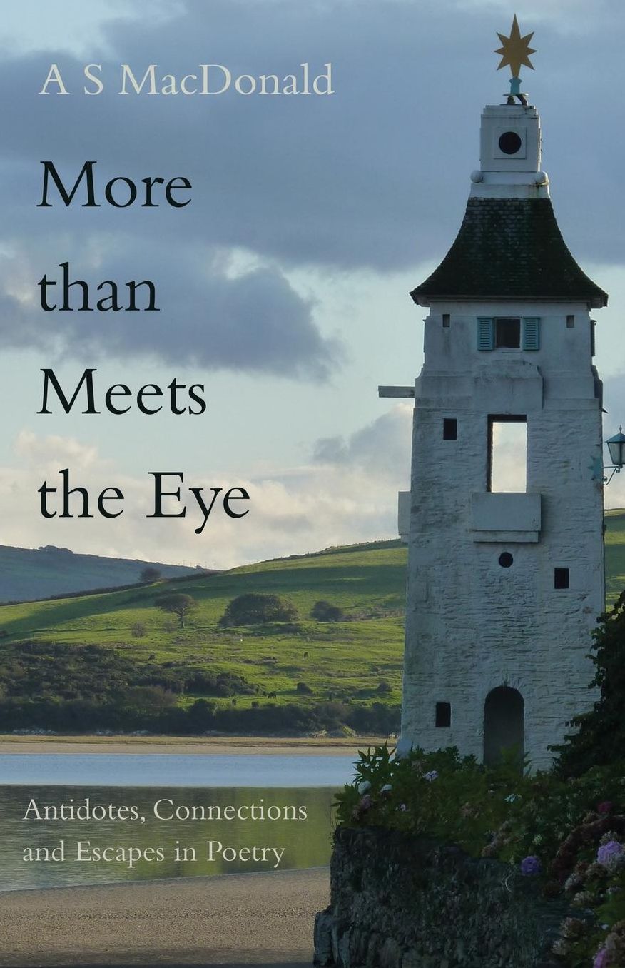 More Than Meets the Eye: Antidotes, Connections and Escapes in Poetry