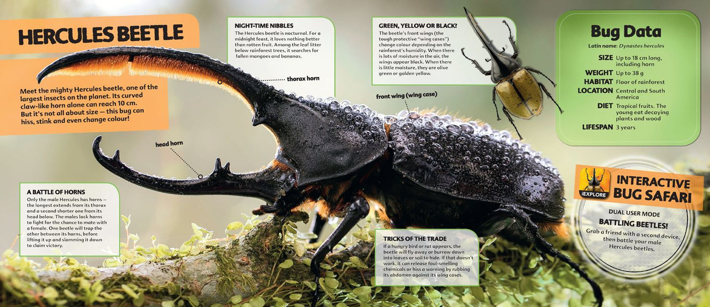 Bugs