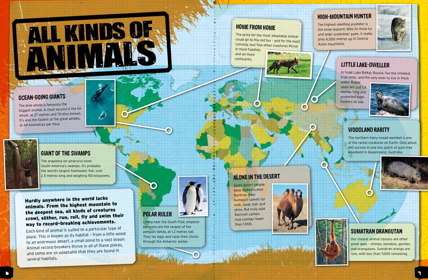 Animal Record Breakers