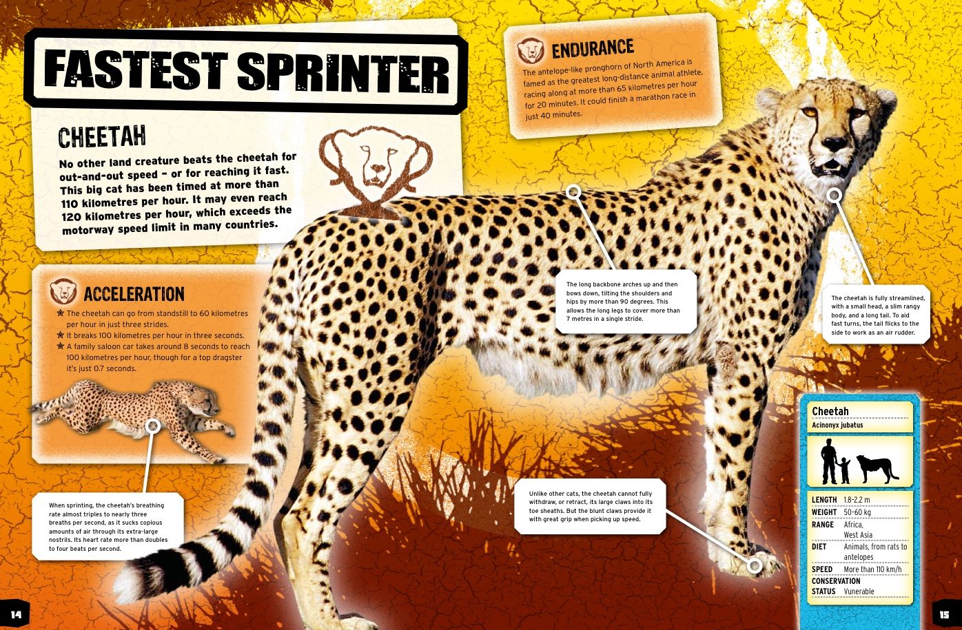 Animal Record Breakers