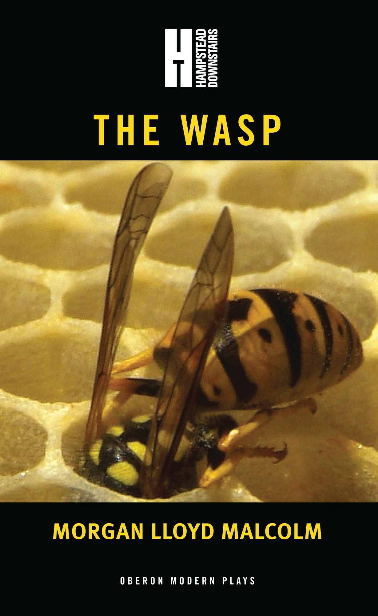 BloomsburyUK - The Wasp