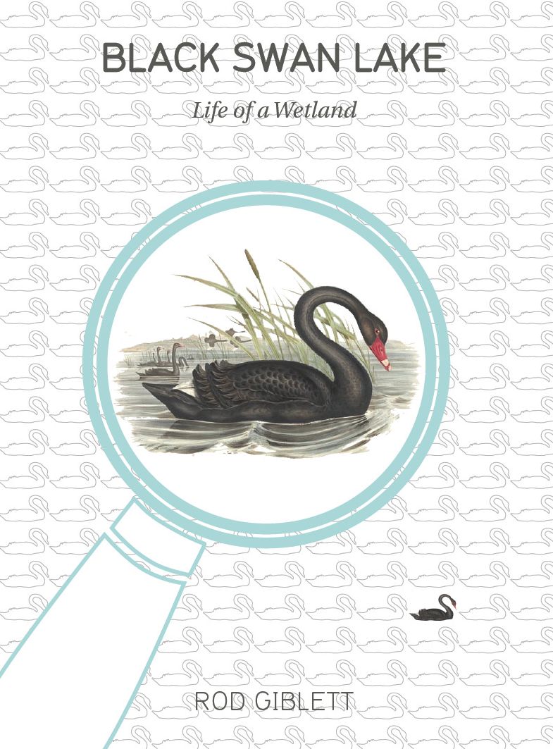 Black Swan Lake: Life of a Wetland