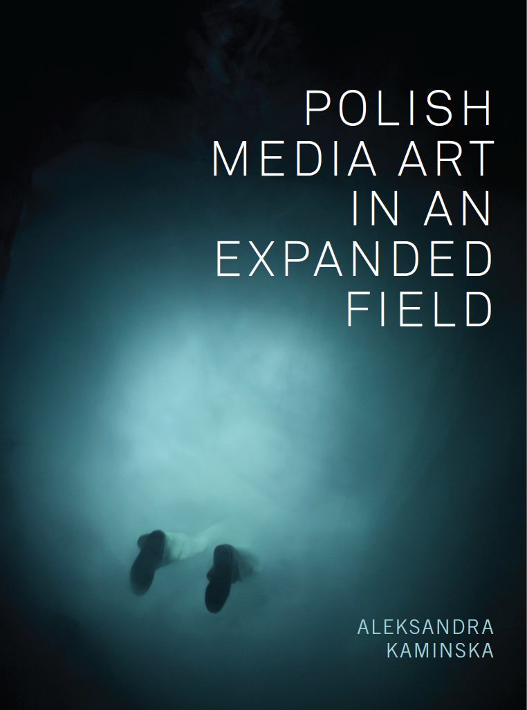Polish Media Art in an Expanded Field