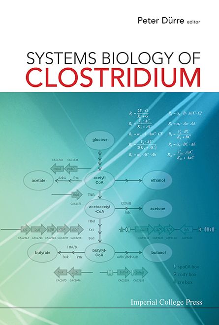 Systems Biology Of Clostridium