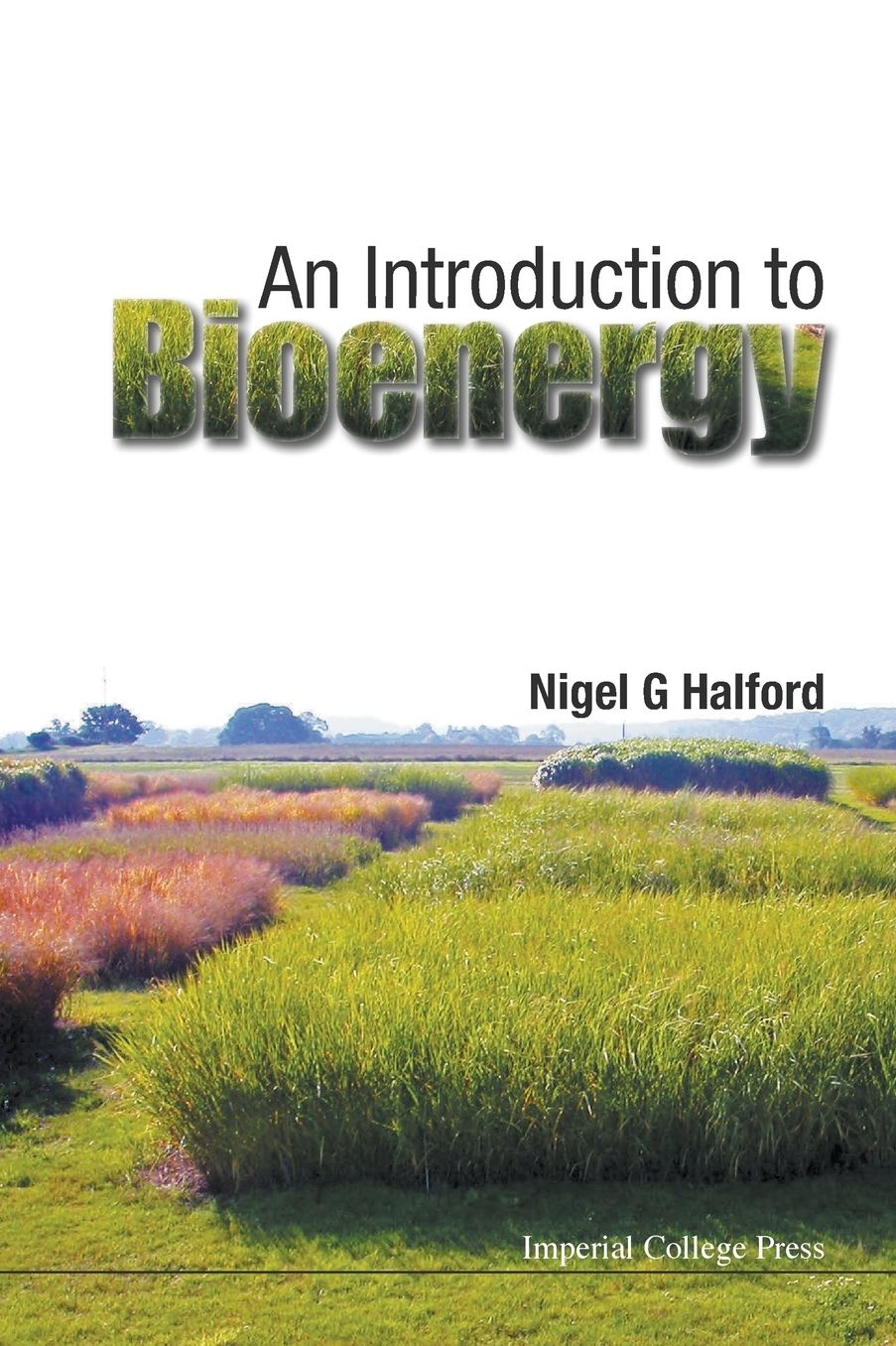 Introduction To Bioenergy, An