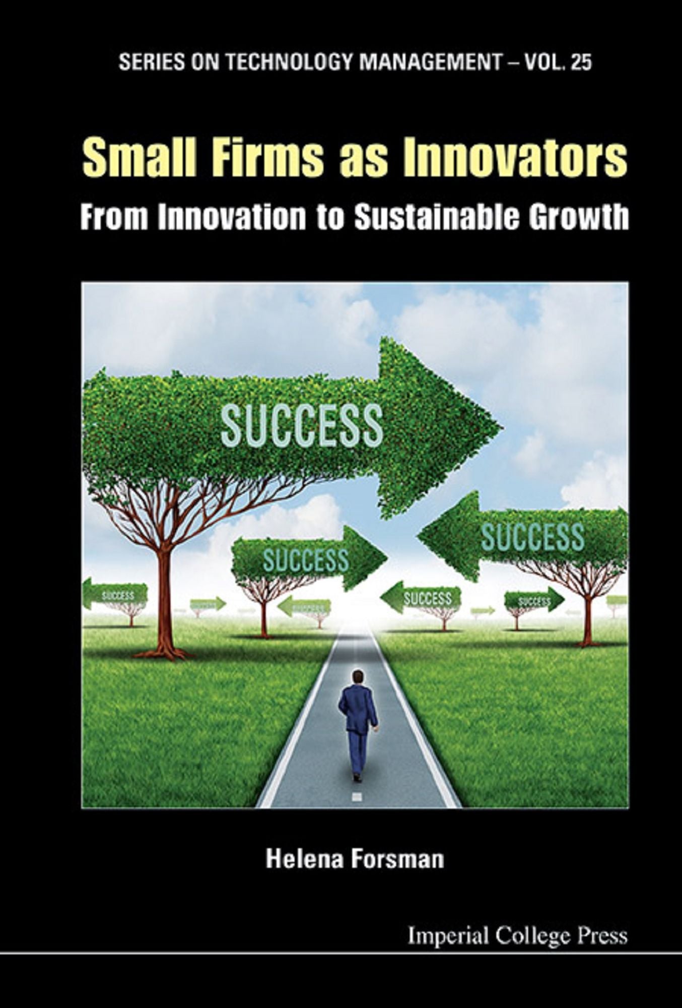 Small Firms As Innovators: From Innovation To Sustainable Growth: From Innovation to Sustainable Growth