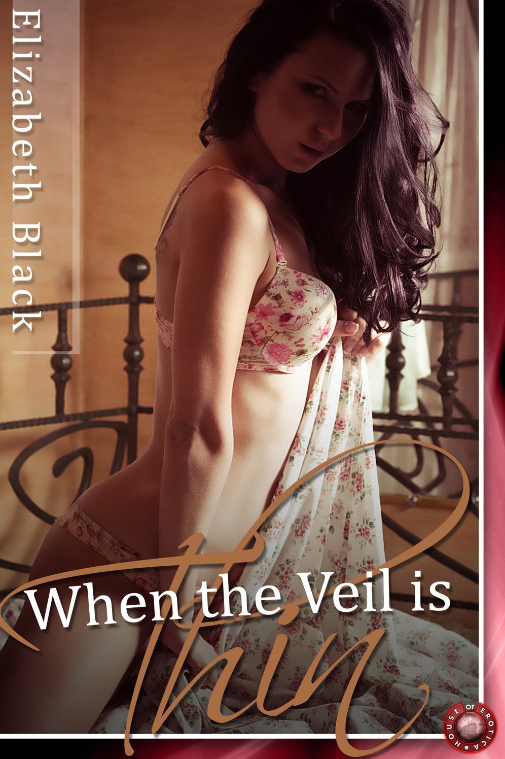 When The Veil Is Thin: Sometimes Wet Dreams Come True!