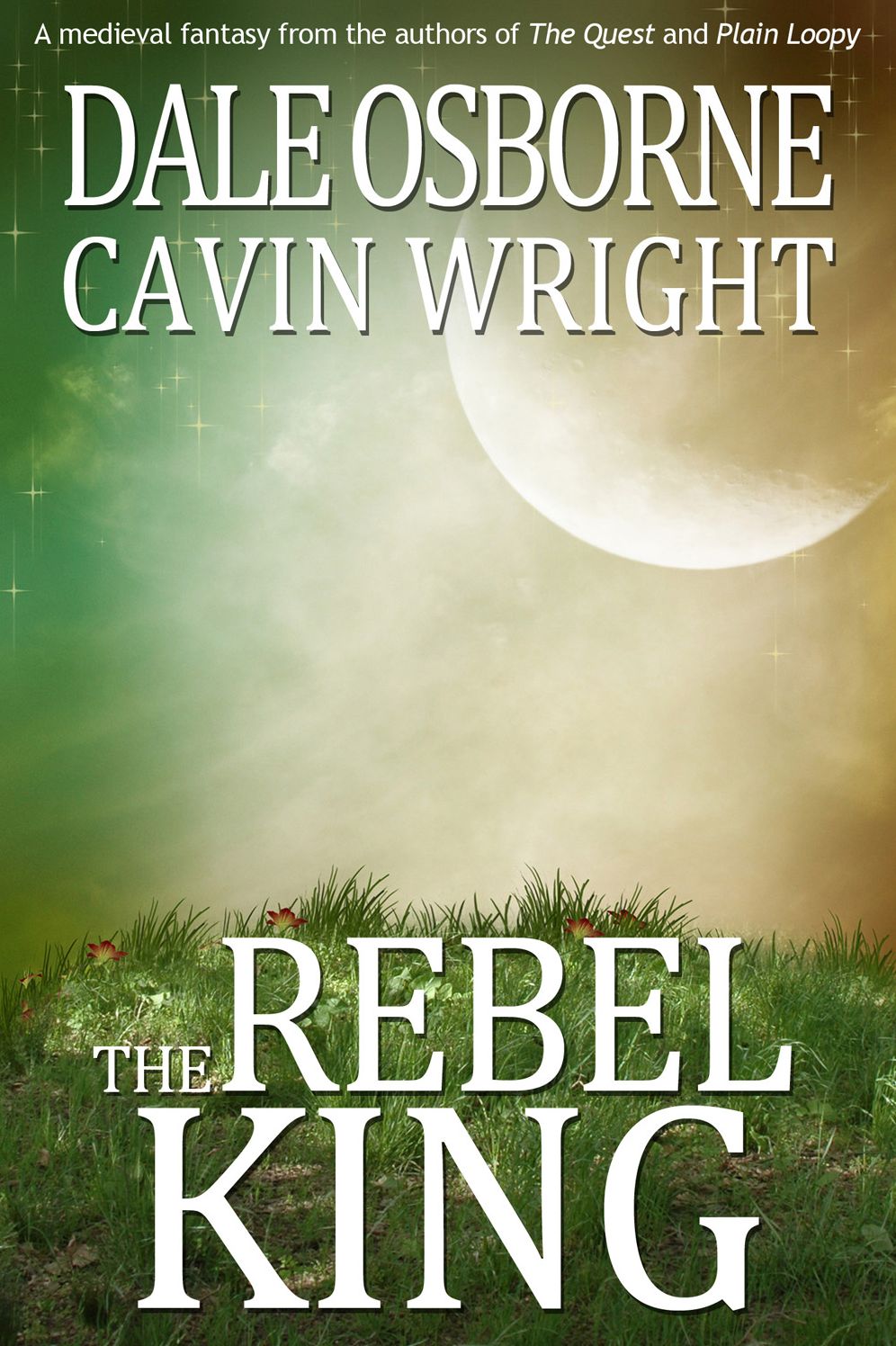 The Rebel King: A Medieval Fantasy