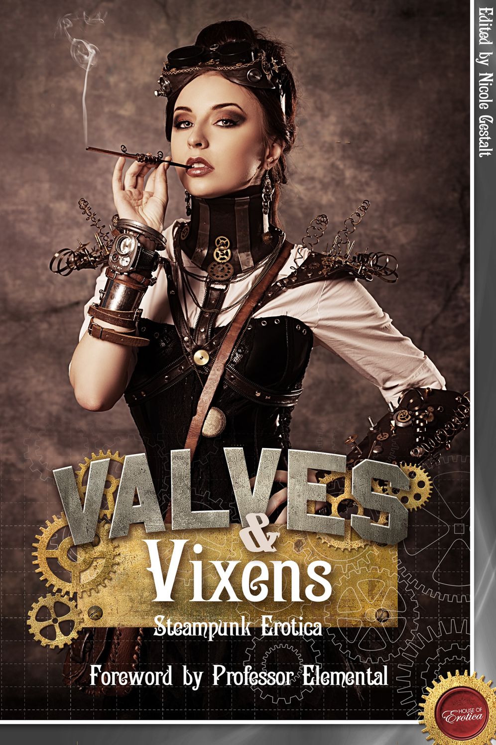 Valves & Vixens: Steampunk Erotica