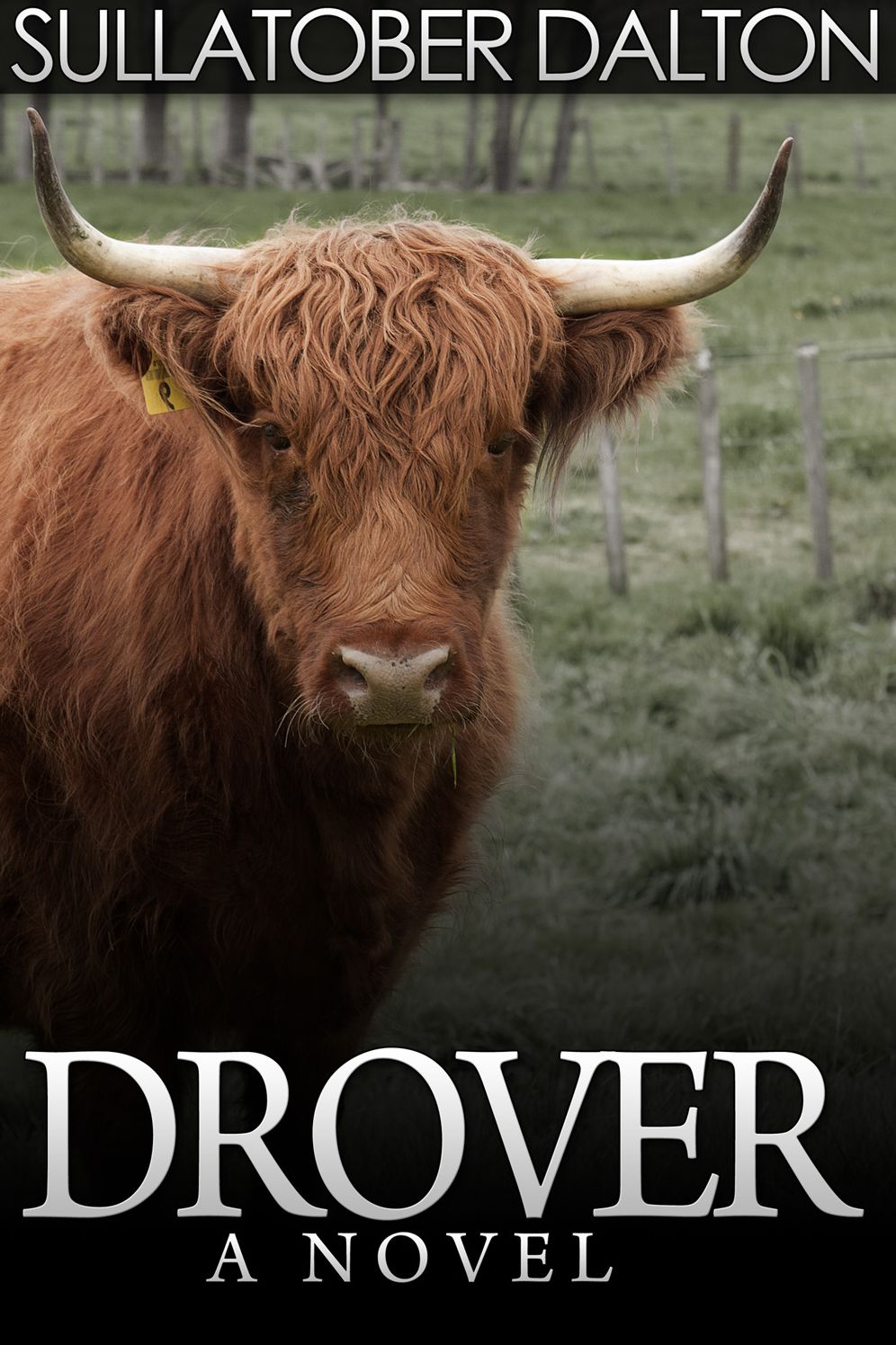 Drover: Fergus Findlay Saves Fiona Mcrae