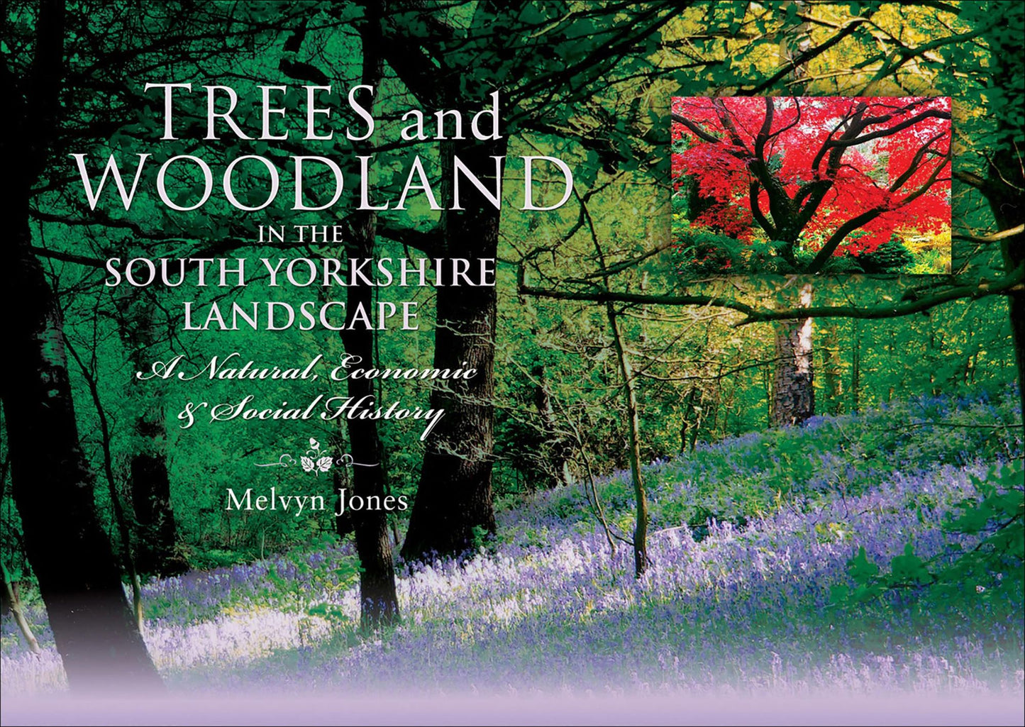 Trees and Woodland in the South Yorkshire Landscape: A Natural, Economic and Social History