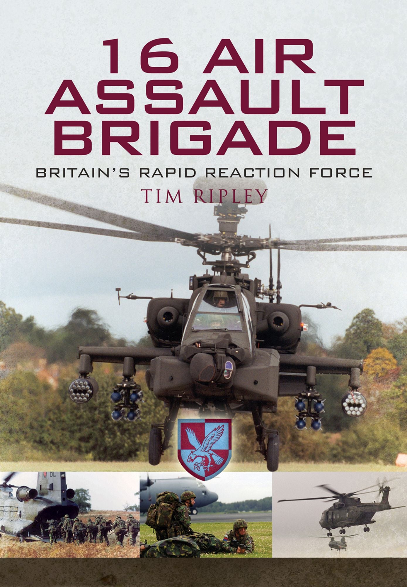16 Air Assault Brigade: Britain'S Rapid Reaction Force