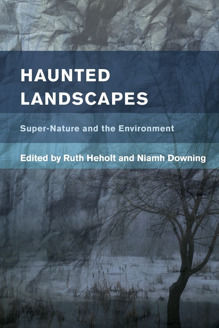 Haunted Landscapes: Super-Nature and the Environment