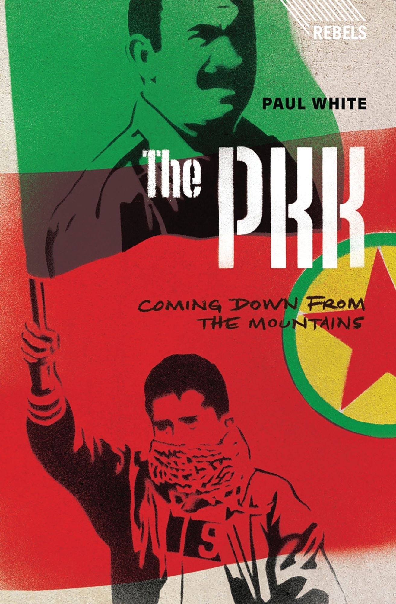 The Pkk: Coming Down from the Mountains