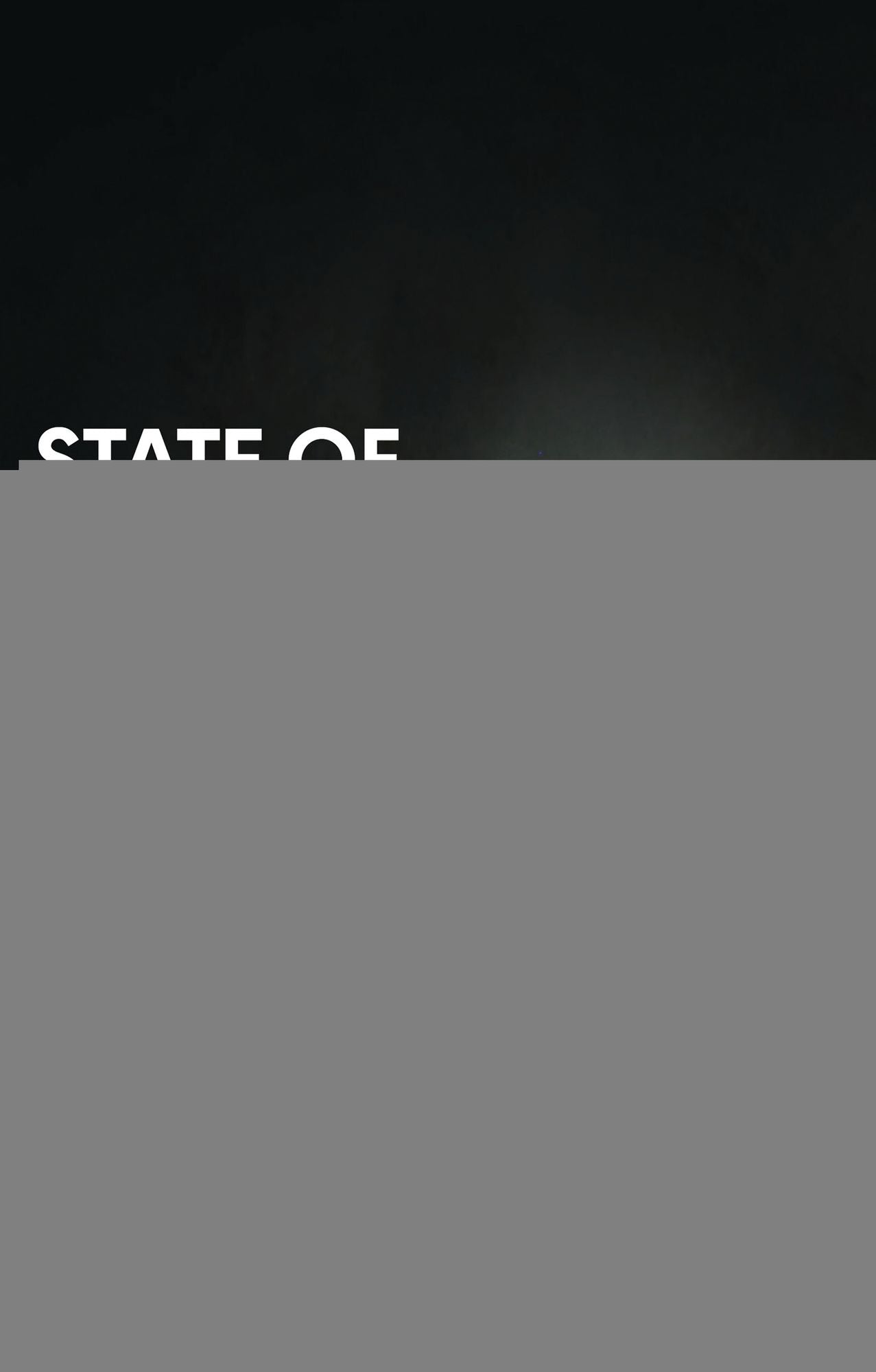 State of Rebellion: Violence and Intervention in the Central African Republic