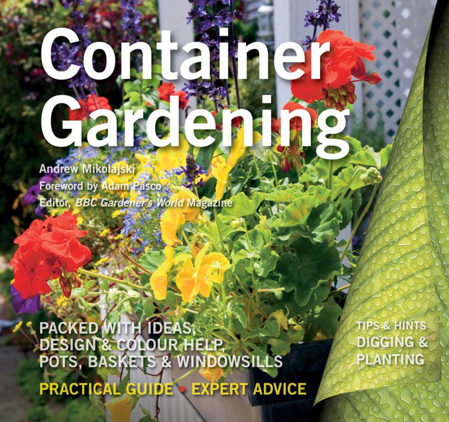 Container Gardening: Ideas, Design & Colour Help