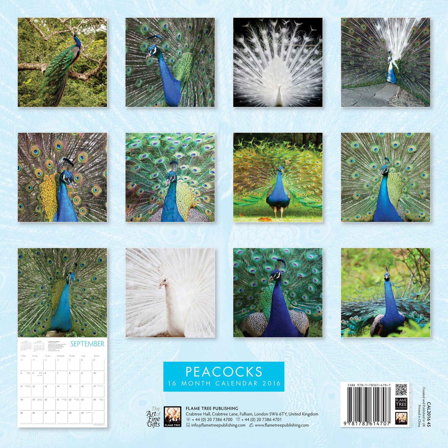 2016 Peacocks Wall Calendar
