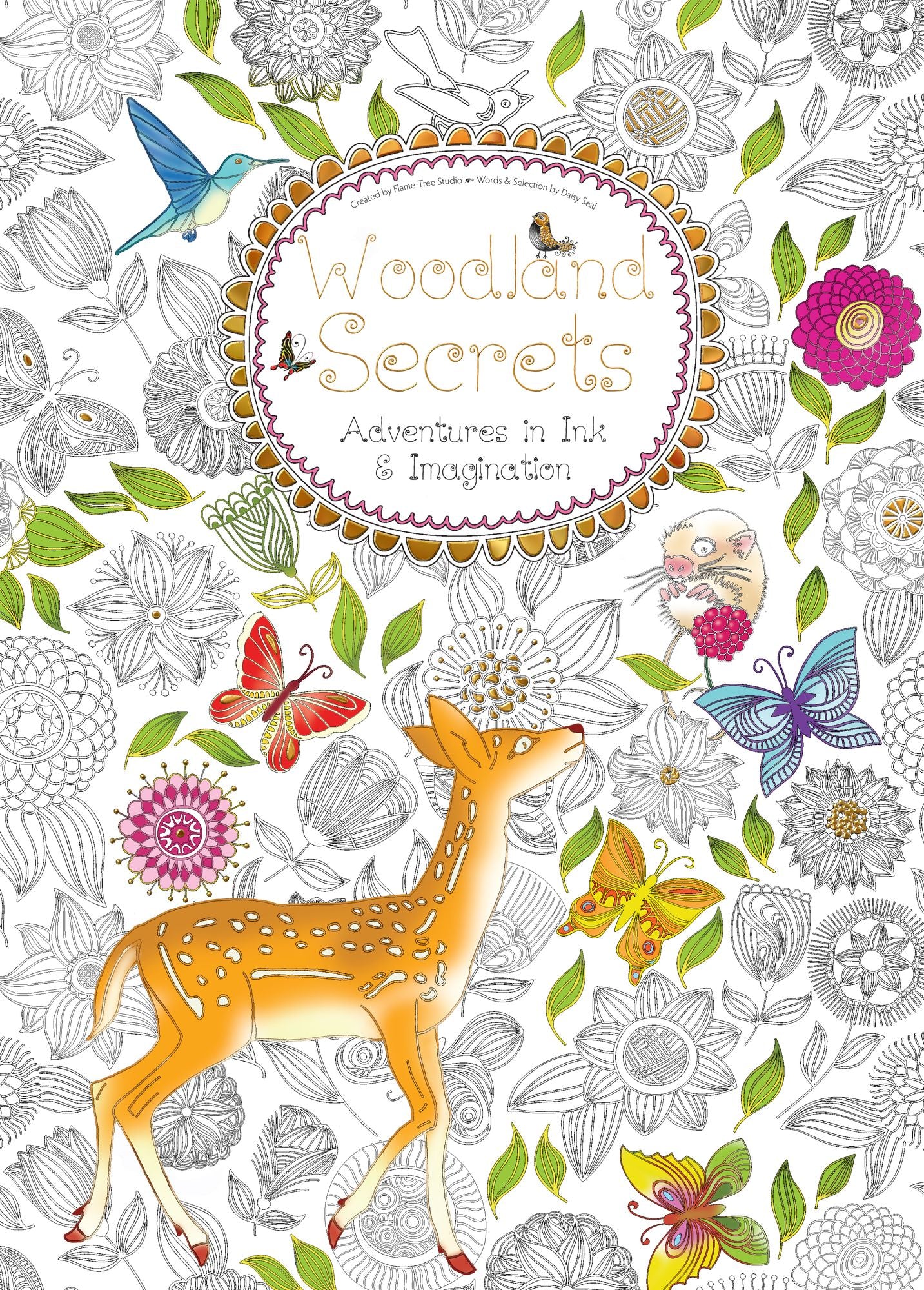 Woodland Secrets : Adventures in Ink & Imagination