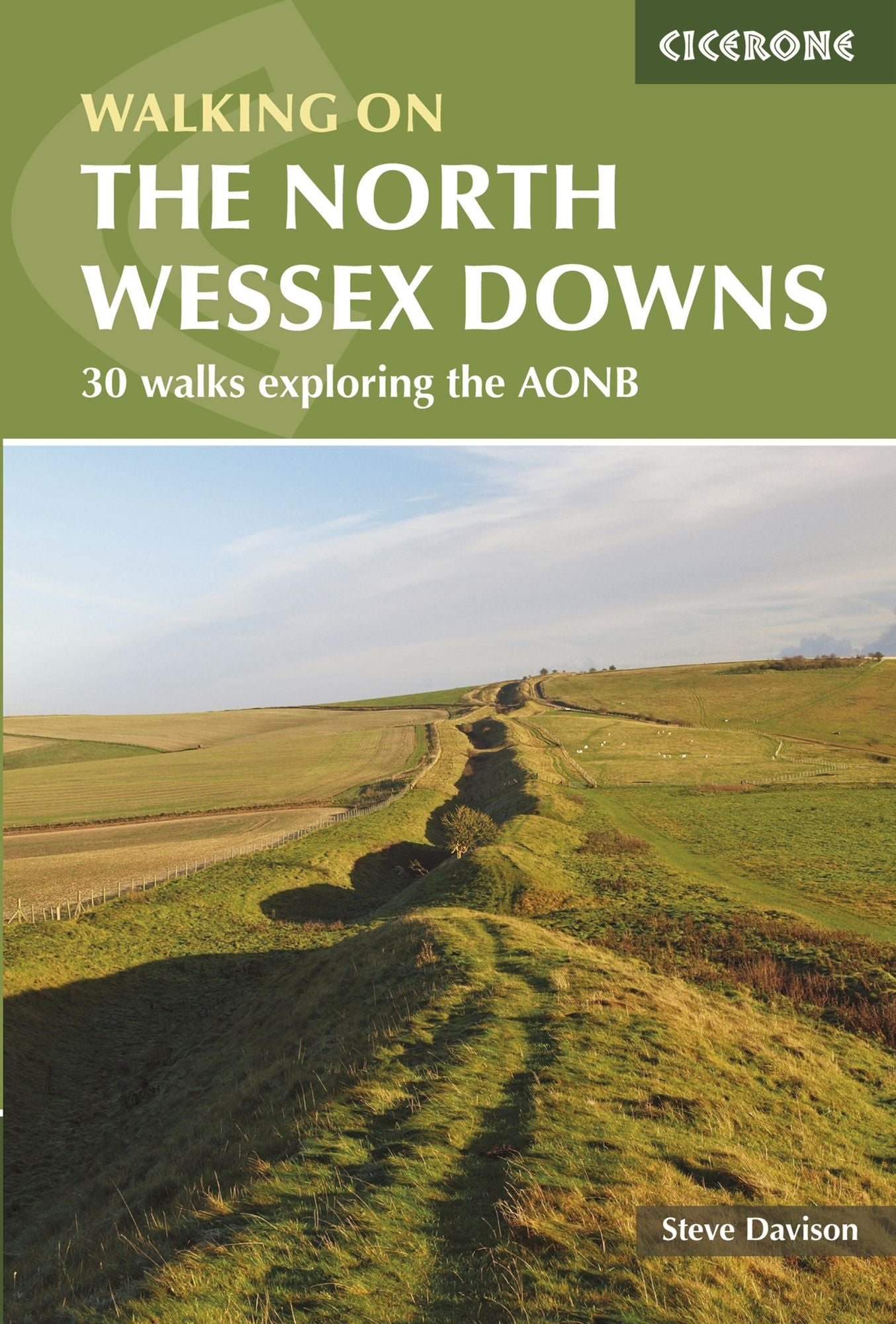 Walking in the North Wessex Downs