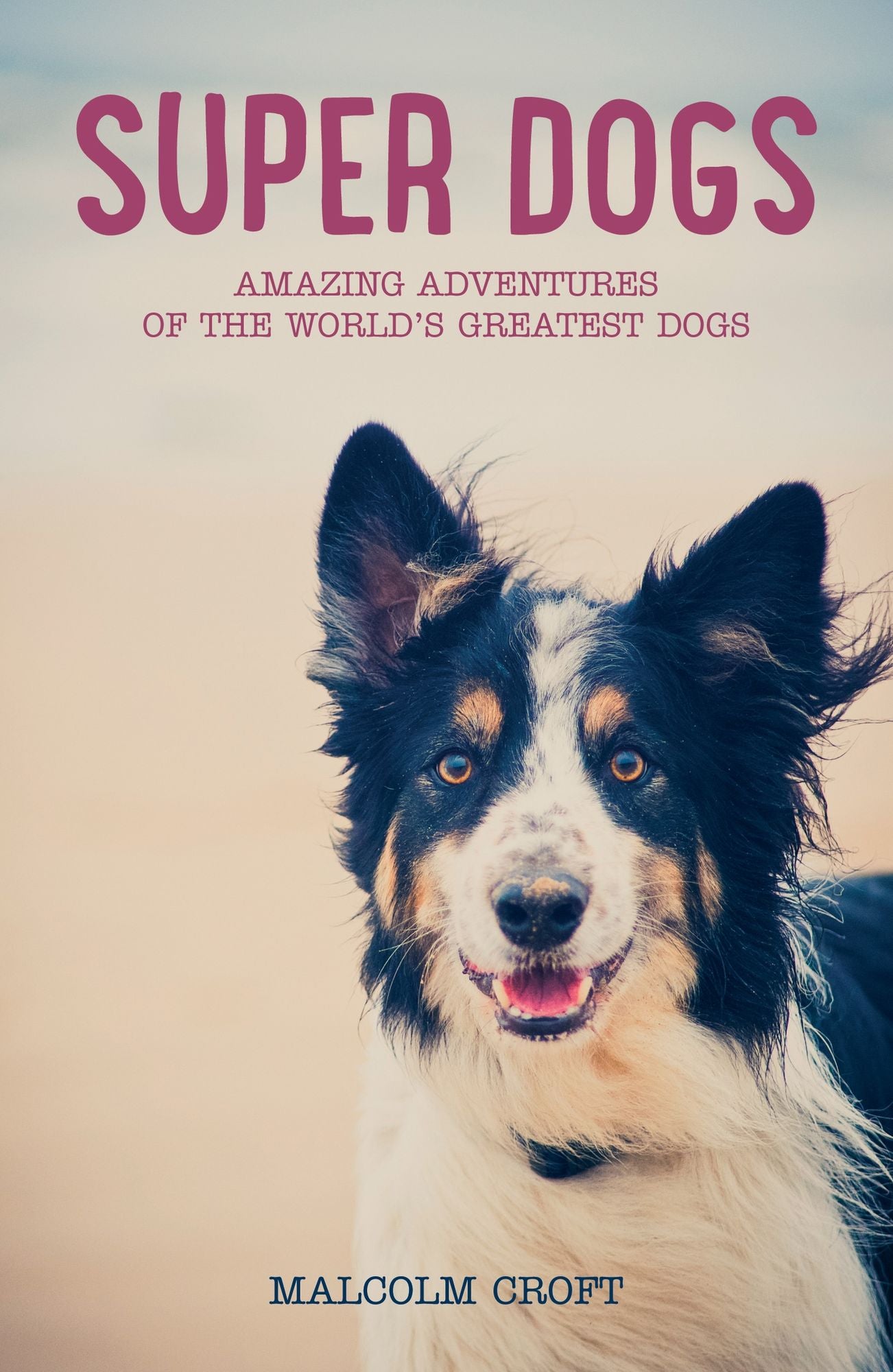 Super Dogs: Heart-warming Adventures of the World's Greatest Dogs