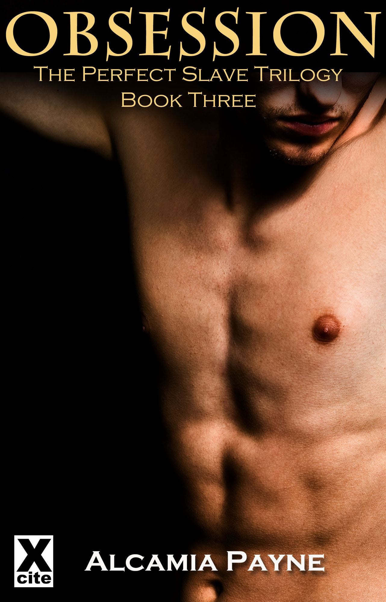 Obsession: The Perfect Slave - Book Three
