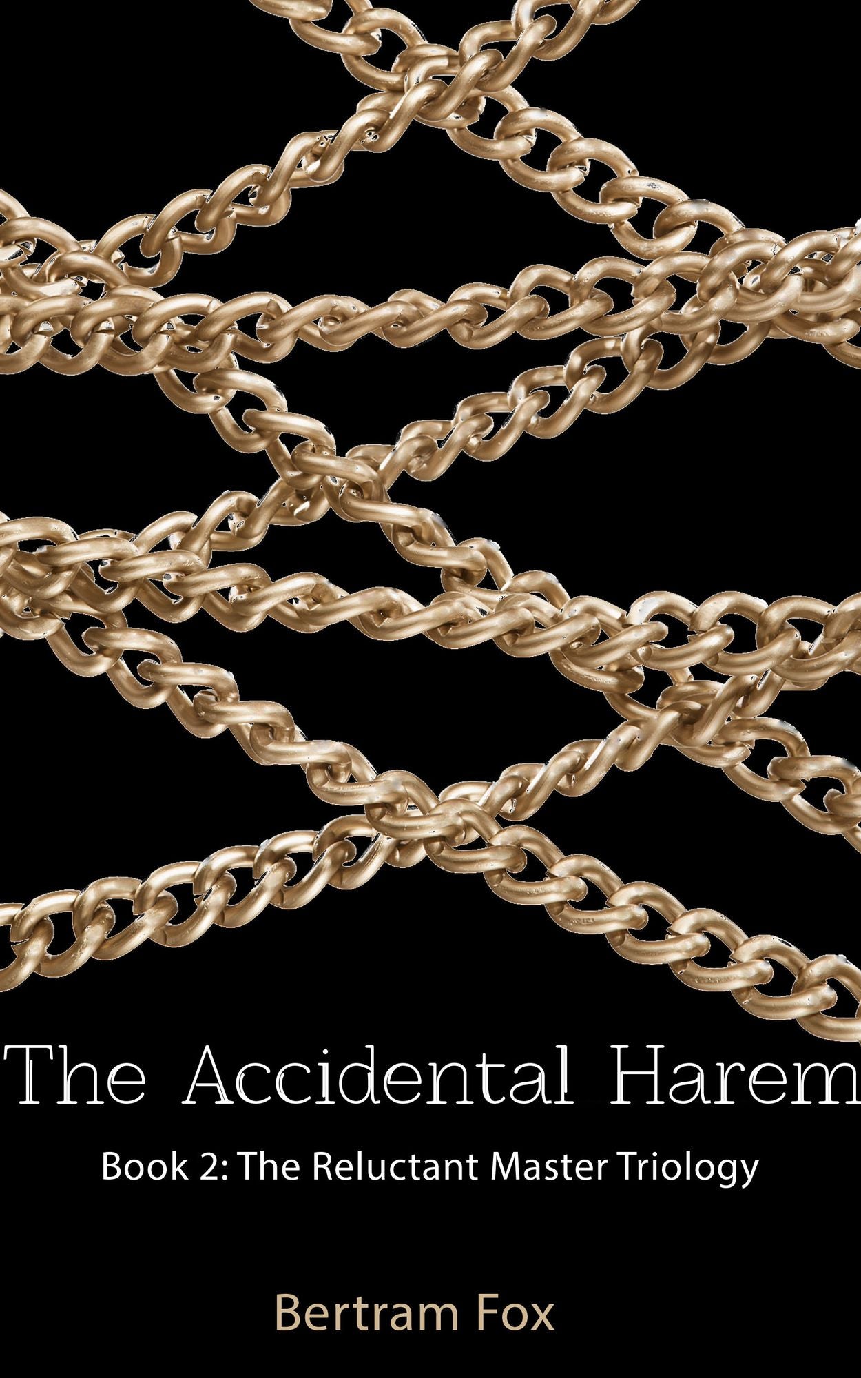The Accidental Harem: Book Two of The Reluctant Master Trilogy