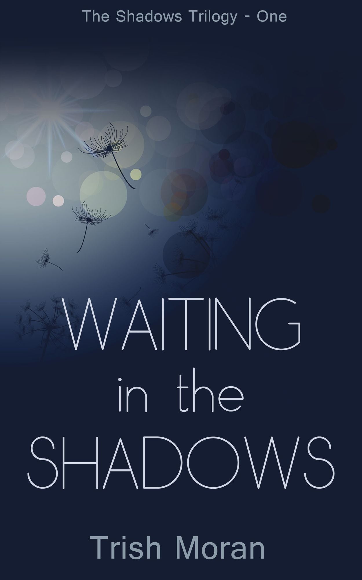 Waiting in the Shadows