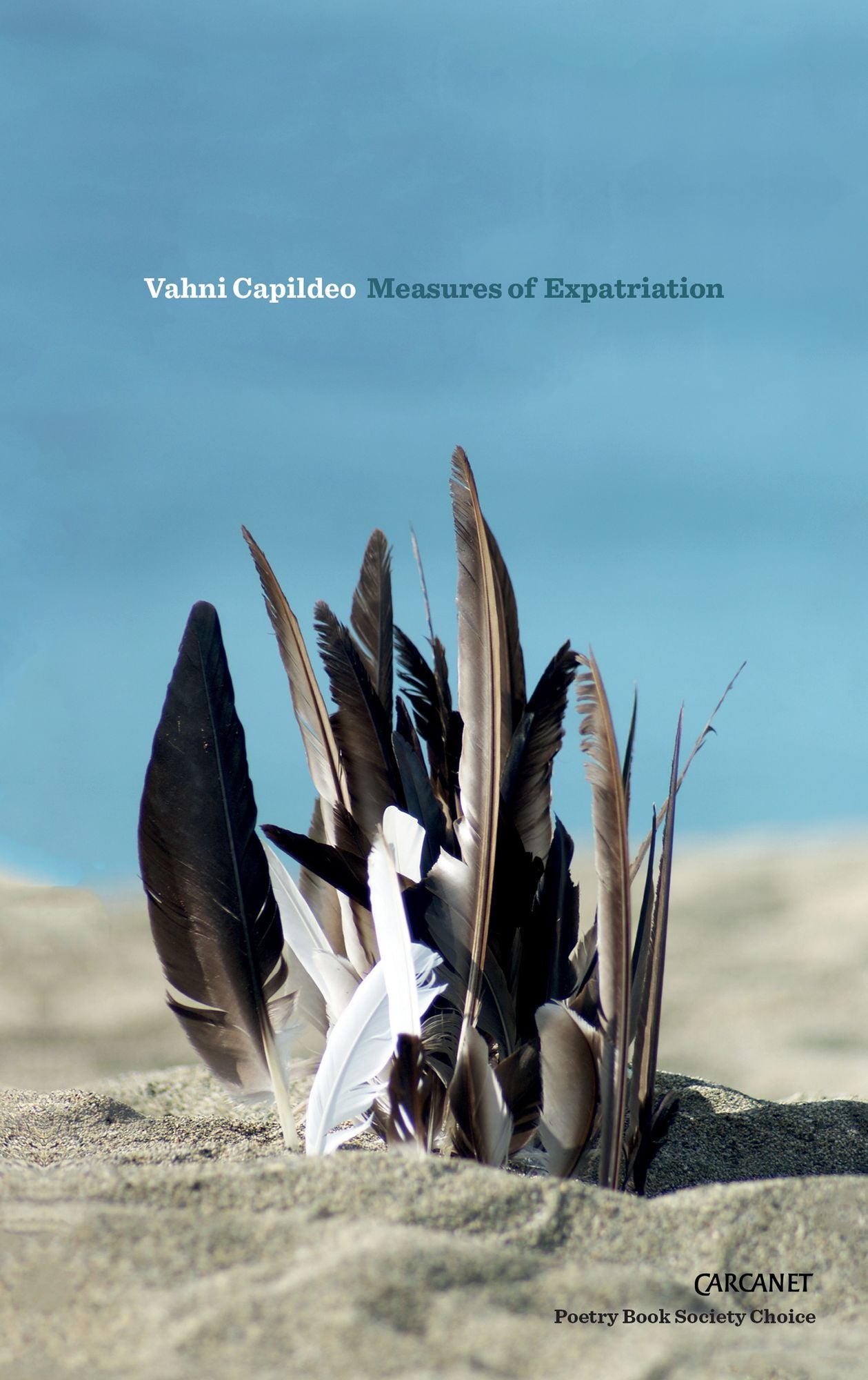 Measures of Expatriation