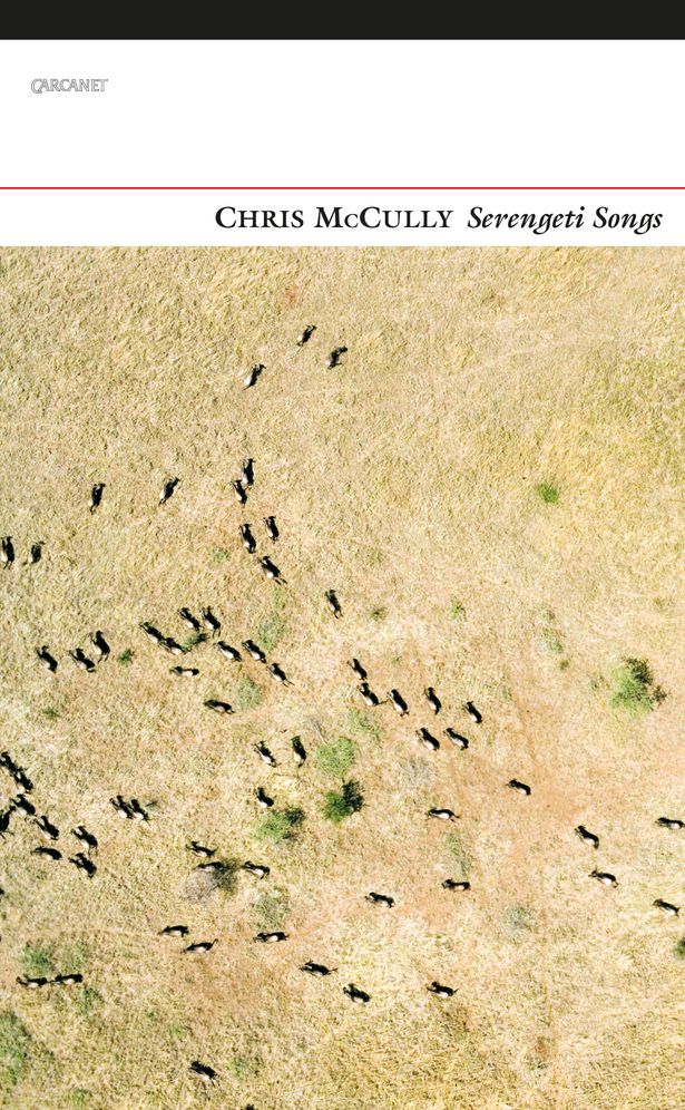 Serengeti Songs