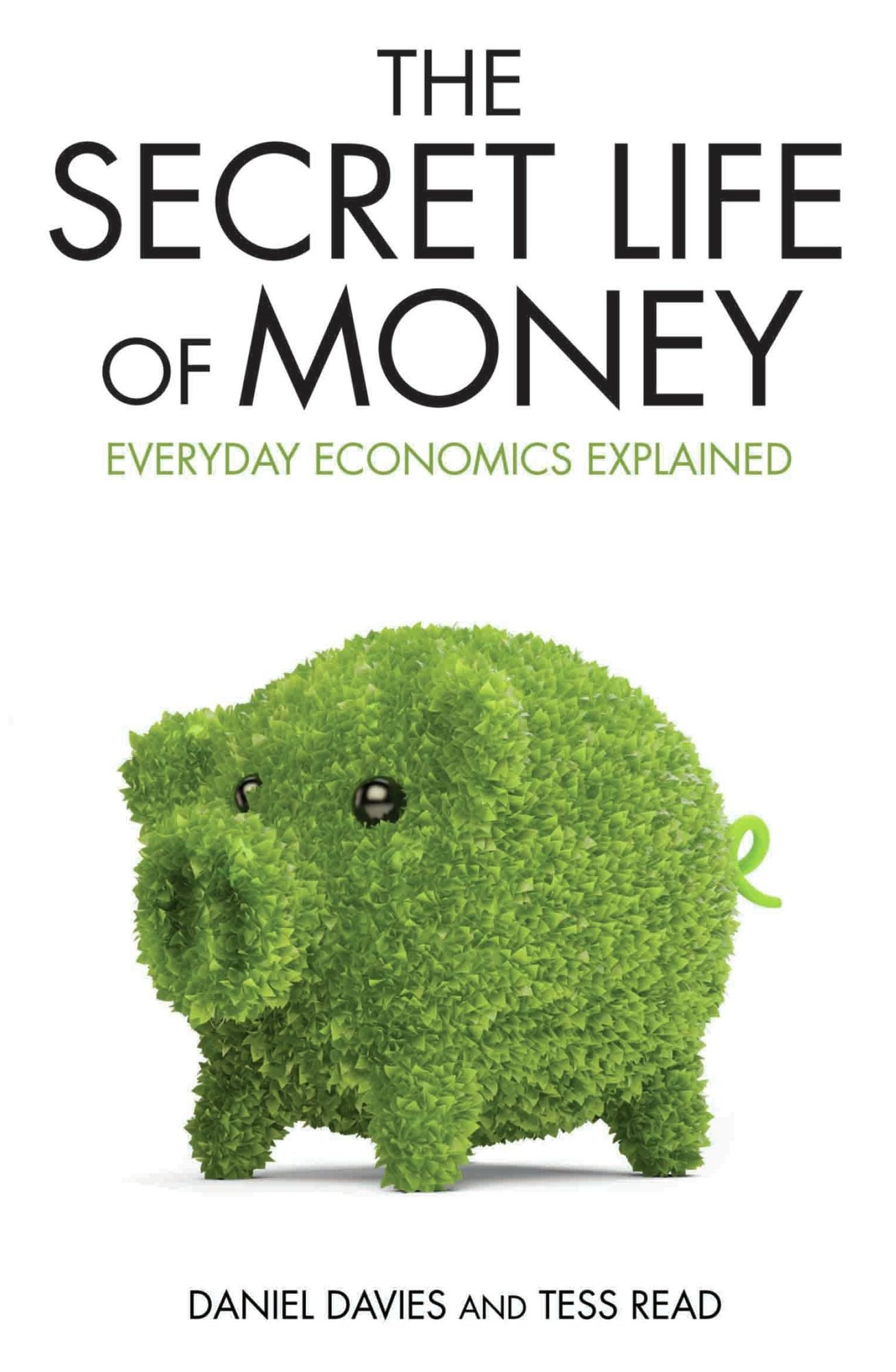 The Secret Life of Money: Everyday Ecnomics Explained