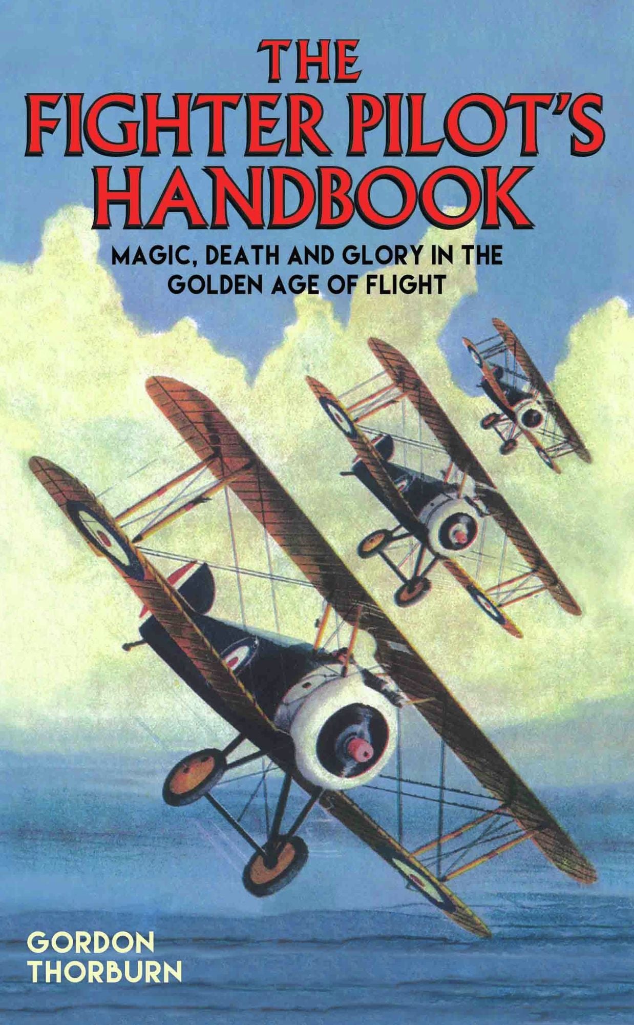 The Fighter Pilot's Handbook: Magic, Death and Glory in the Golden Age of Flight