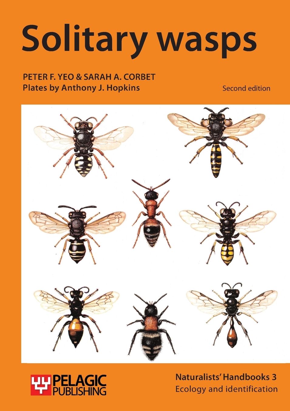 Solitary Wasps