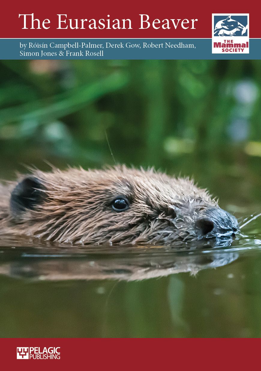 The Eurasian Beaver